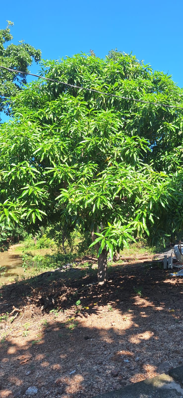 Aconchegante Chácara  à 28km  de Cuiabá -  MT