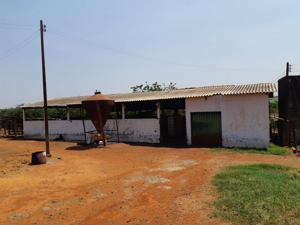 Fazenda - Venda