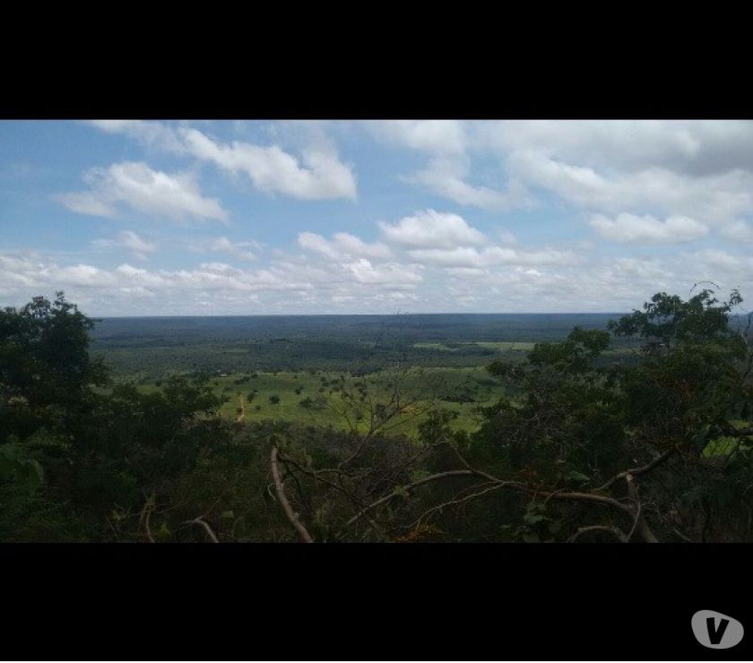 Fazenda - Venda
