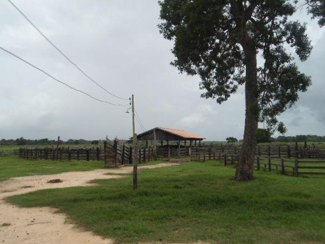 Fazenda - Venda