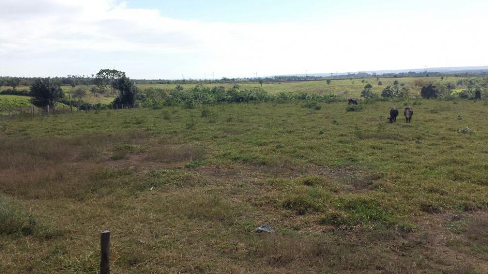 Fazenda - Venda