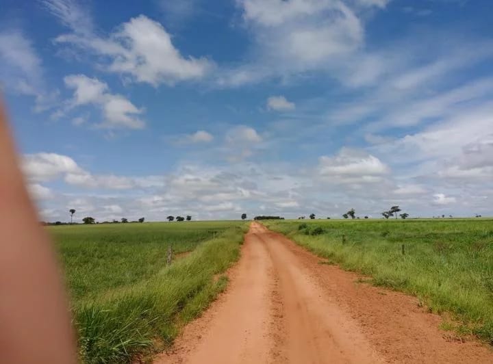 Fazenda - Venda