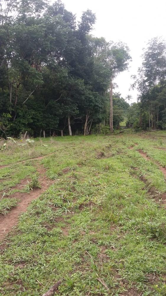 Fazenda - Venda, Rural, Loreto, MA