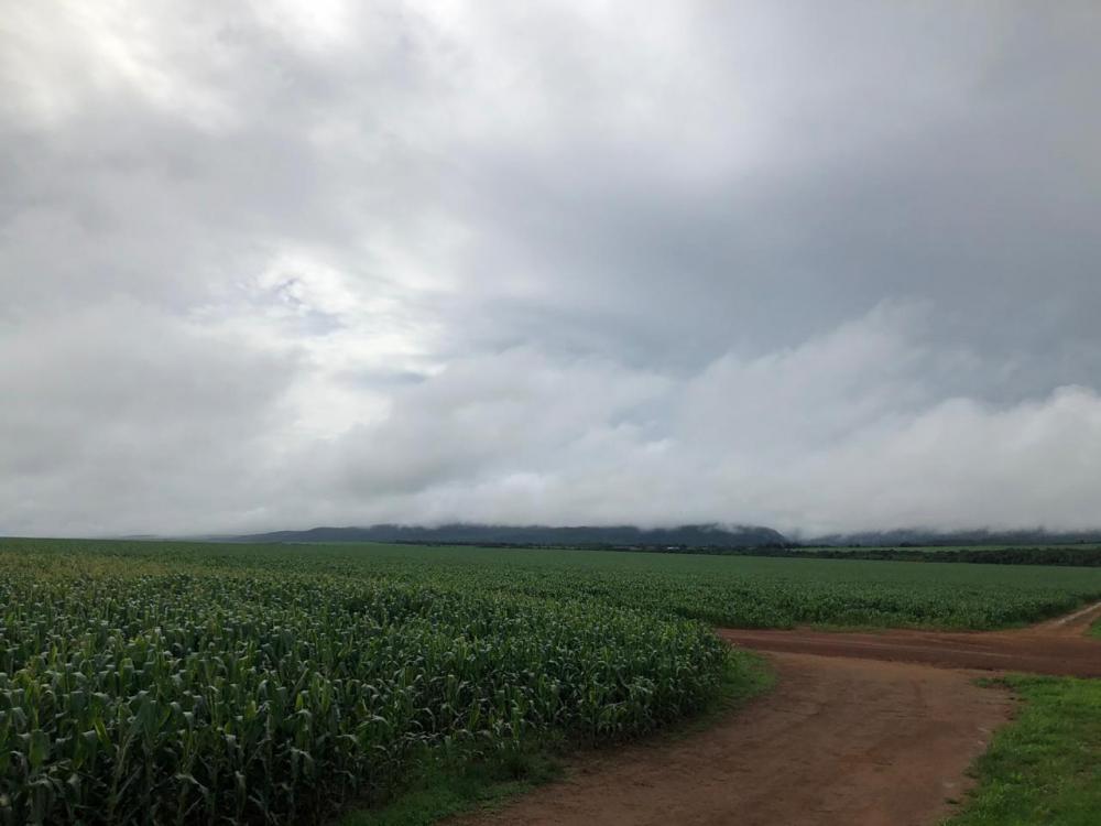 Fazenda - Venda