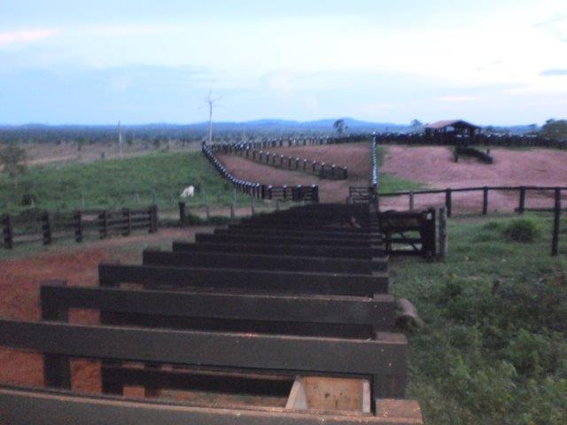 Fazenda - Venda