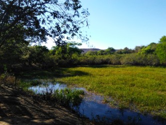 Fazenda - Venda