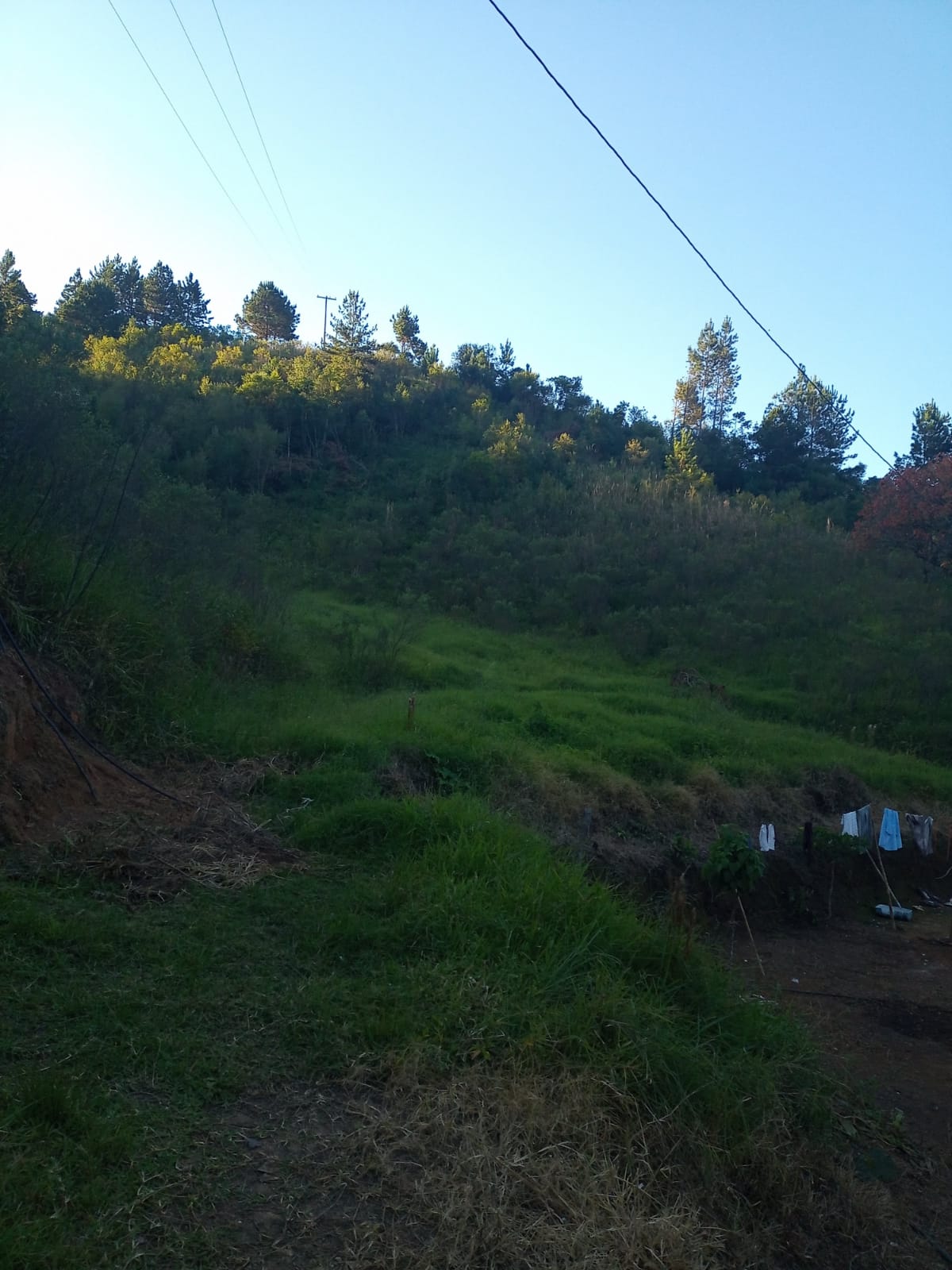 Sítio - Venda, Guapiara, SP