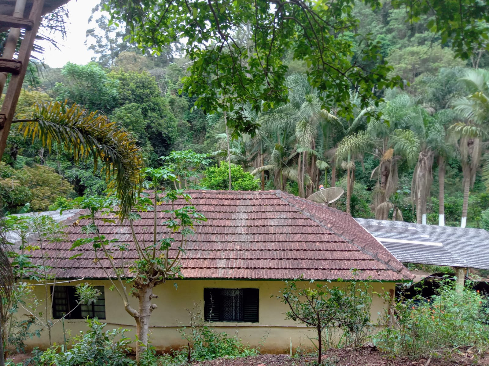 Chácara - Venda, Guapiara, SP