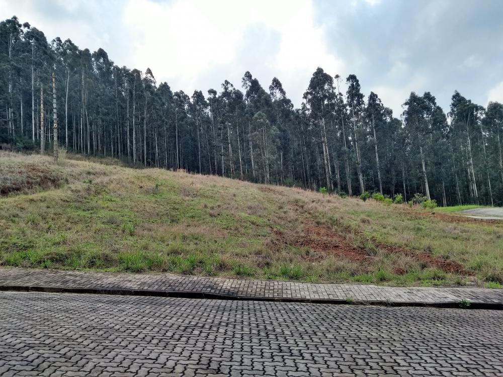 Terreno - Venda, RIO NEGRO, ERECHIM-RS, RS