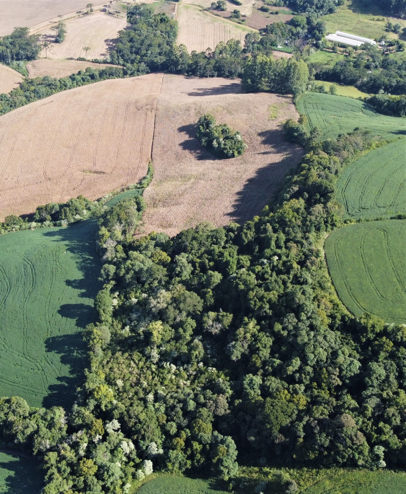 ÁREA RURAL EM ERECHIM/RS