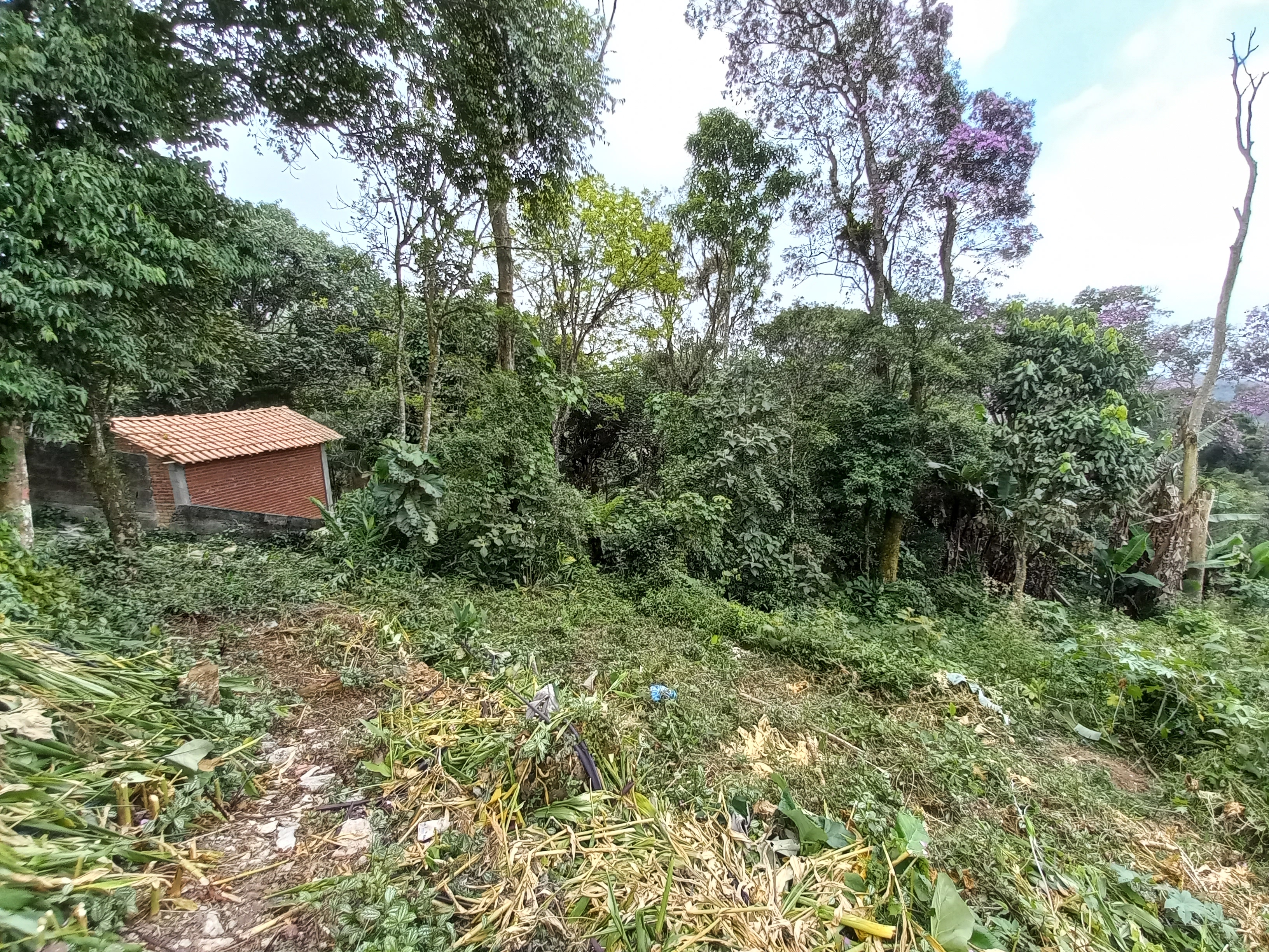 Lotes 250m2 oásis paulista