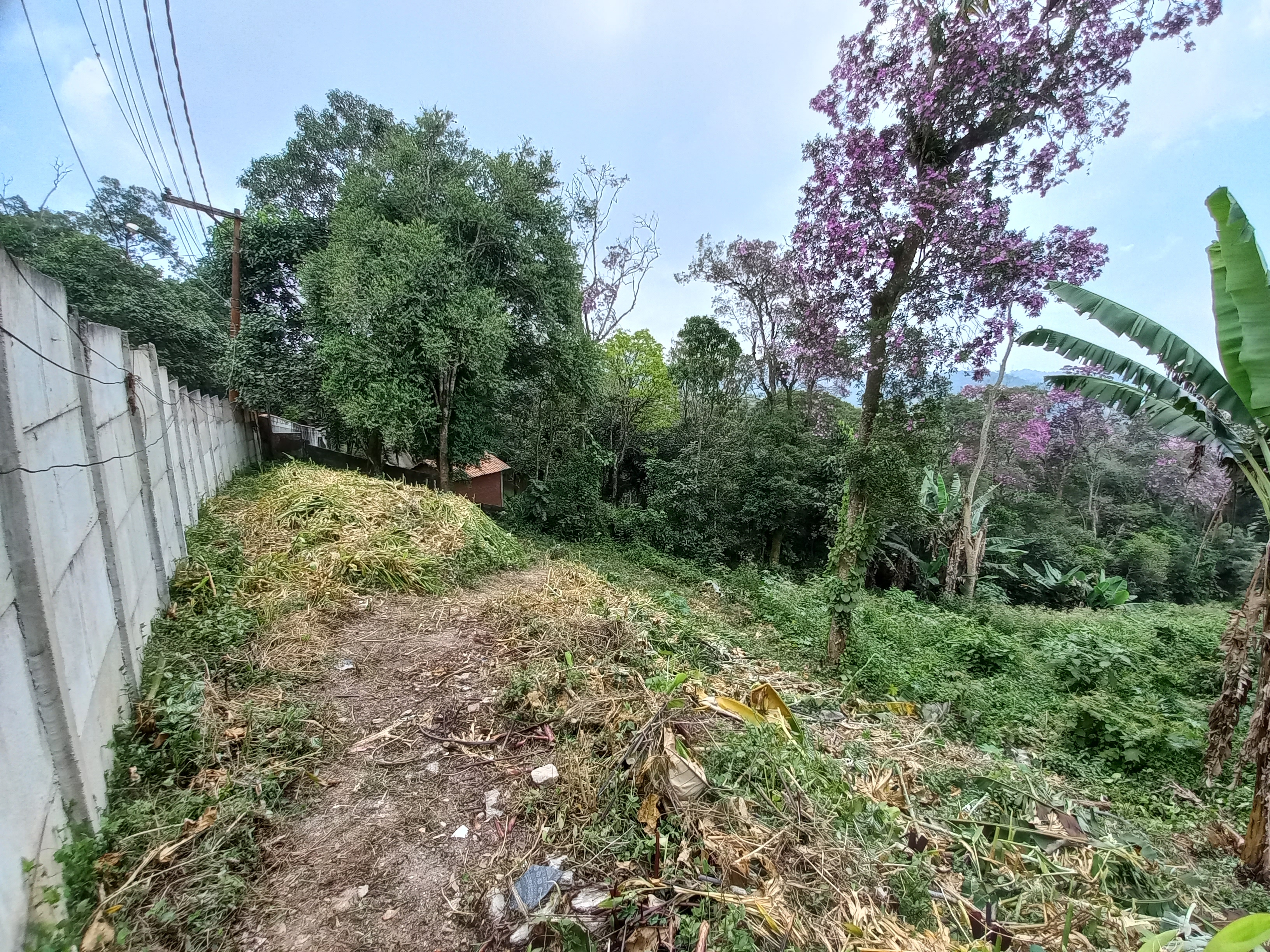 Lotes 250m2 oásis paulista