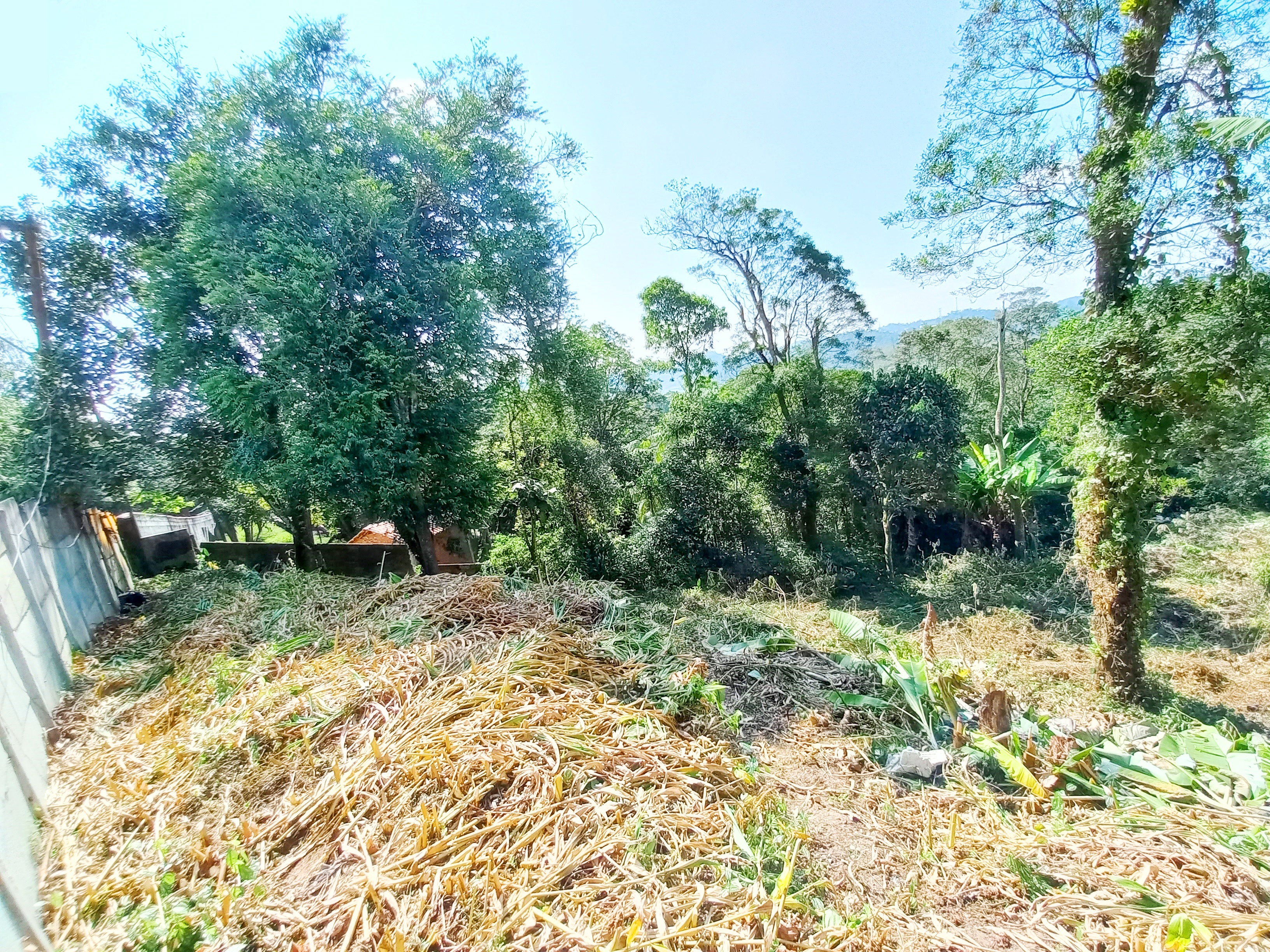 Lotes 250m2 oásis paulista