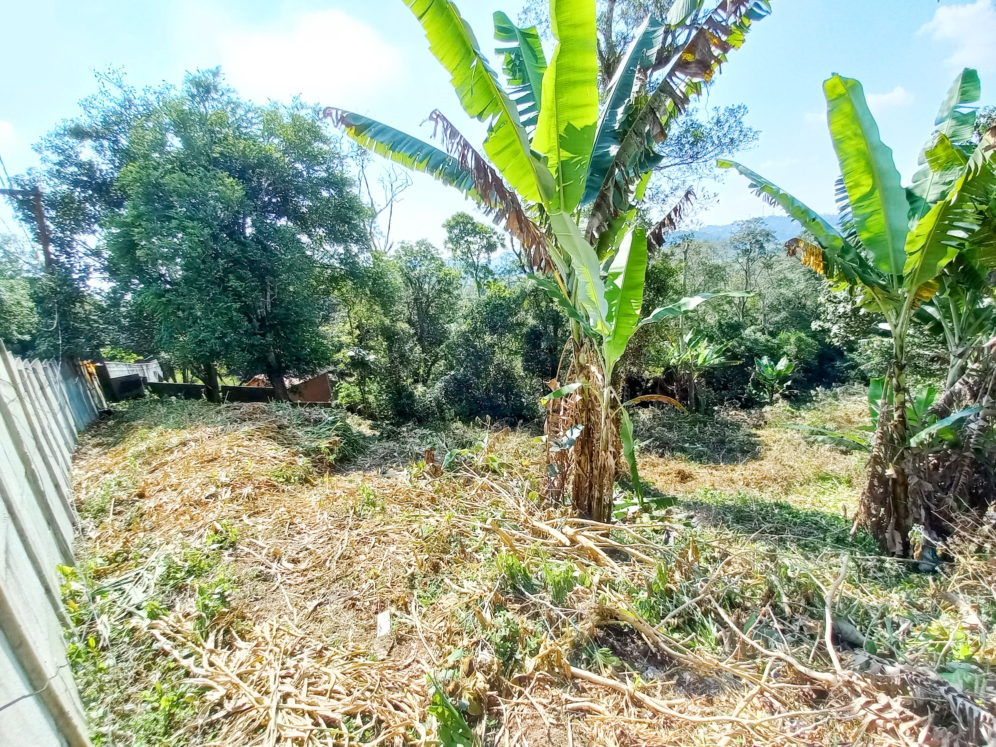 Lotes 250m2 oásis paulista