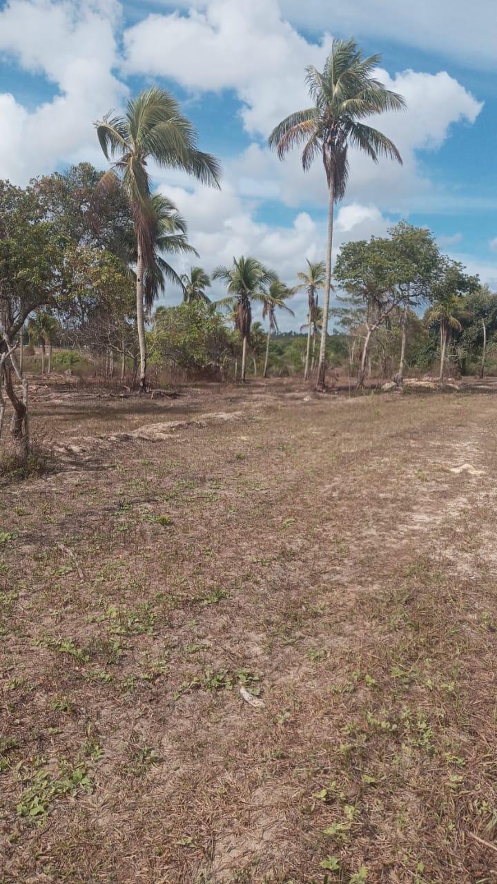 Loteamento em alagoinhas