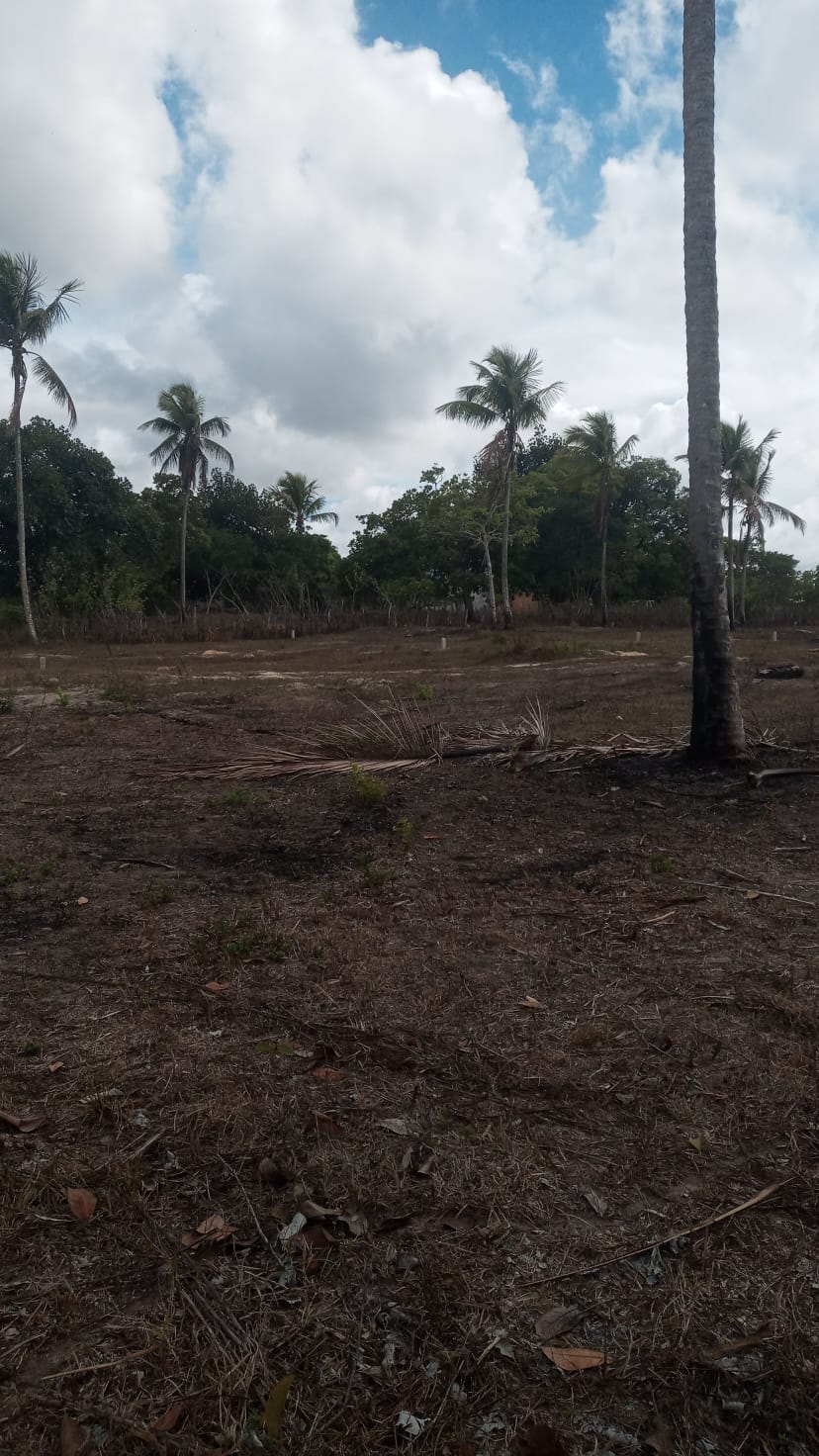 Loteamento em alagoinhas