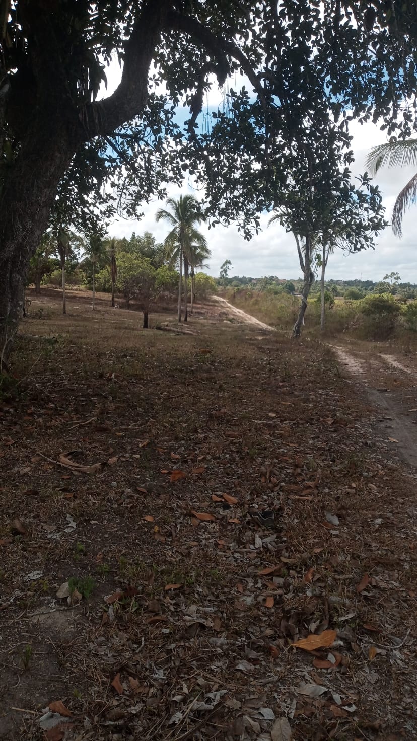 Loteamento em alagoinhas