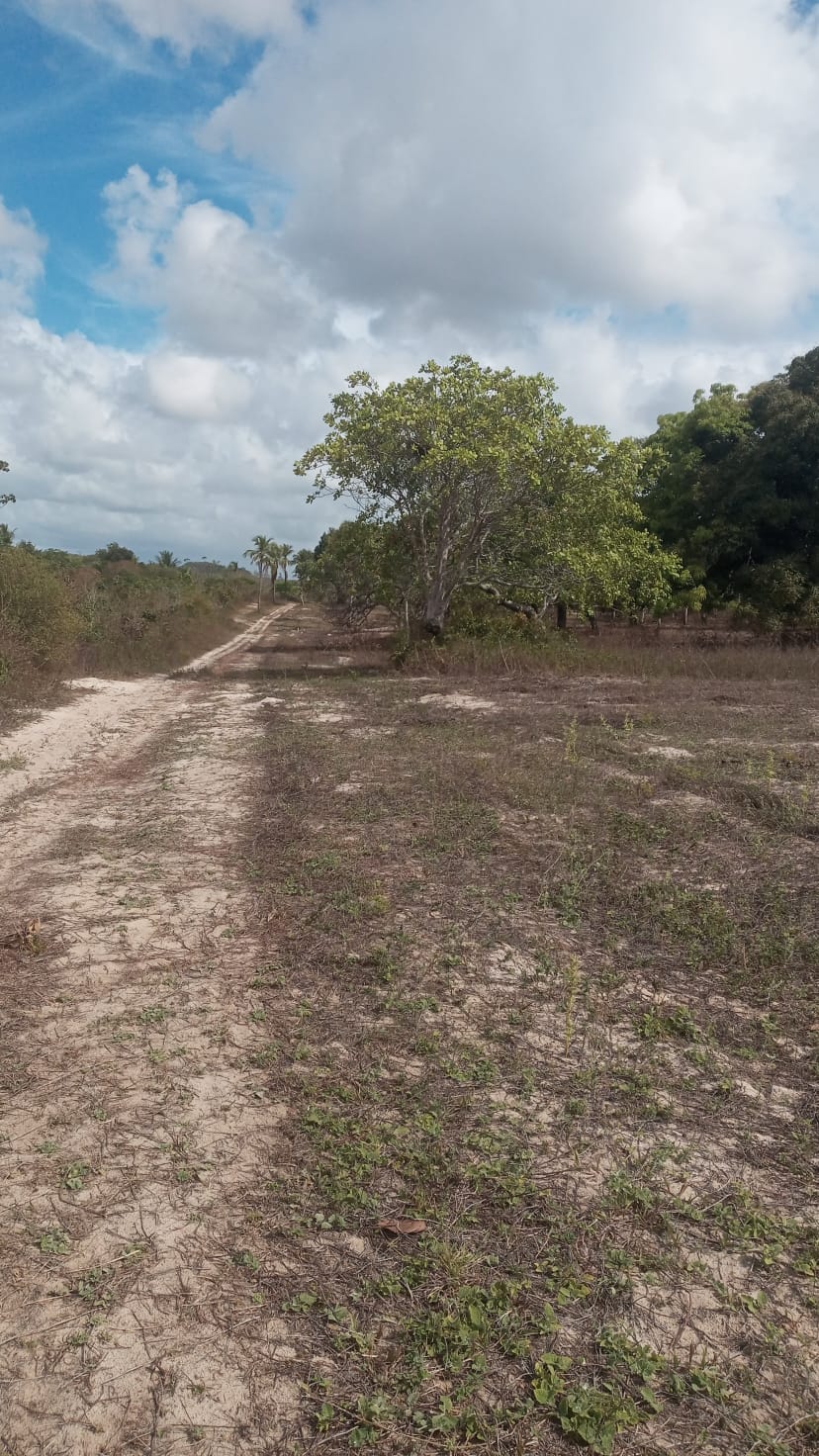 Loteamento em alagoinhas