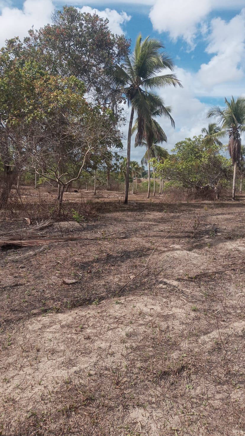 Loteamento em alagoinhas