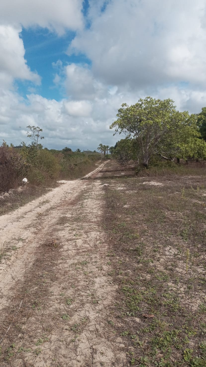 Loteamento em alagoinhas