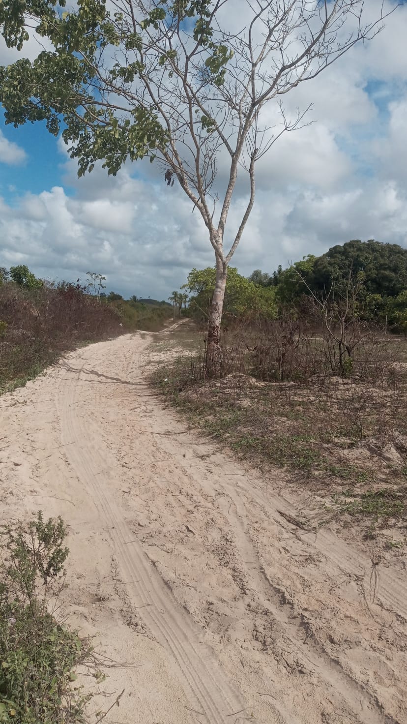 Loteamento em alagoinhas
