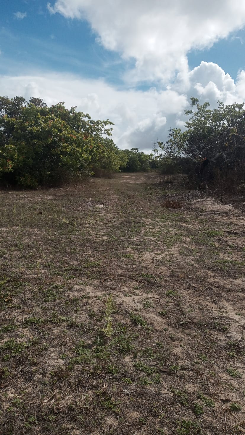 Loteamento em alagoinhas