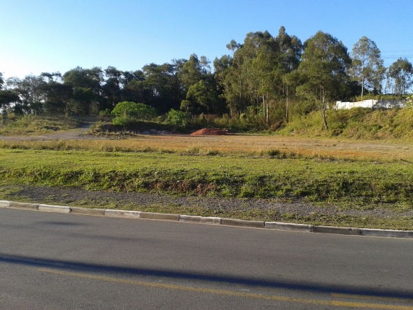 Terreno / Área - Venda, Mirante do Arujá, Arujá, SP