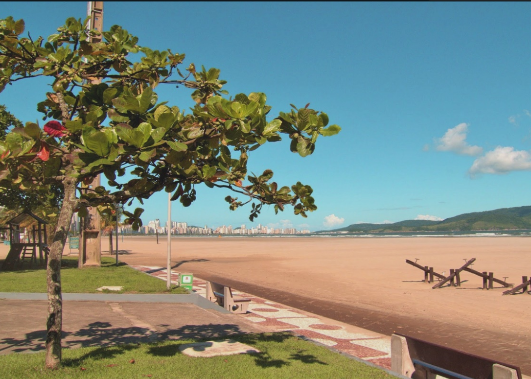 Apartamento - Venda