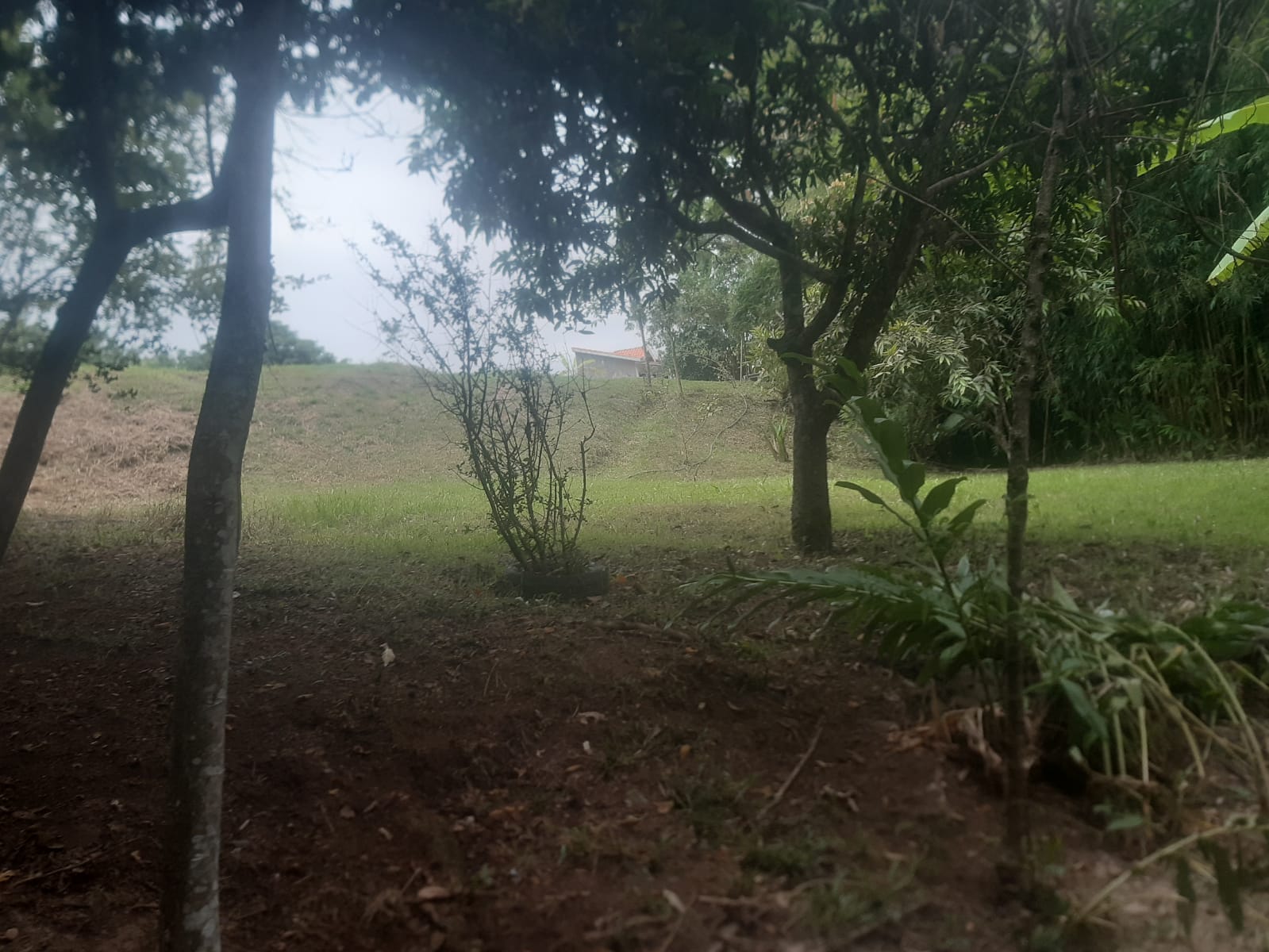 CHÁCARA PARA VENDA EM PIEDADE