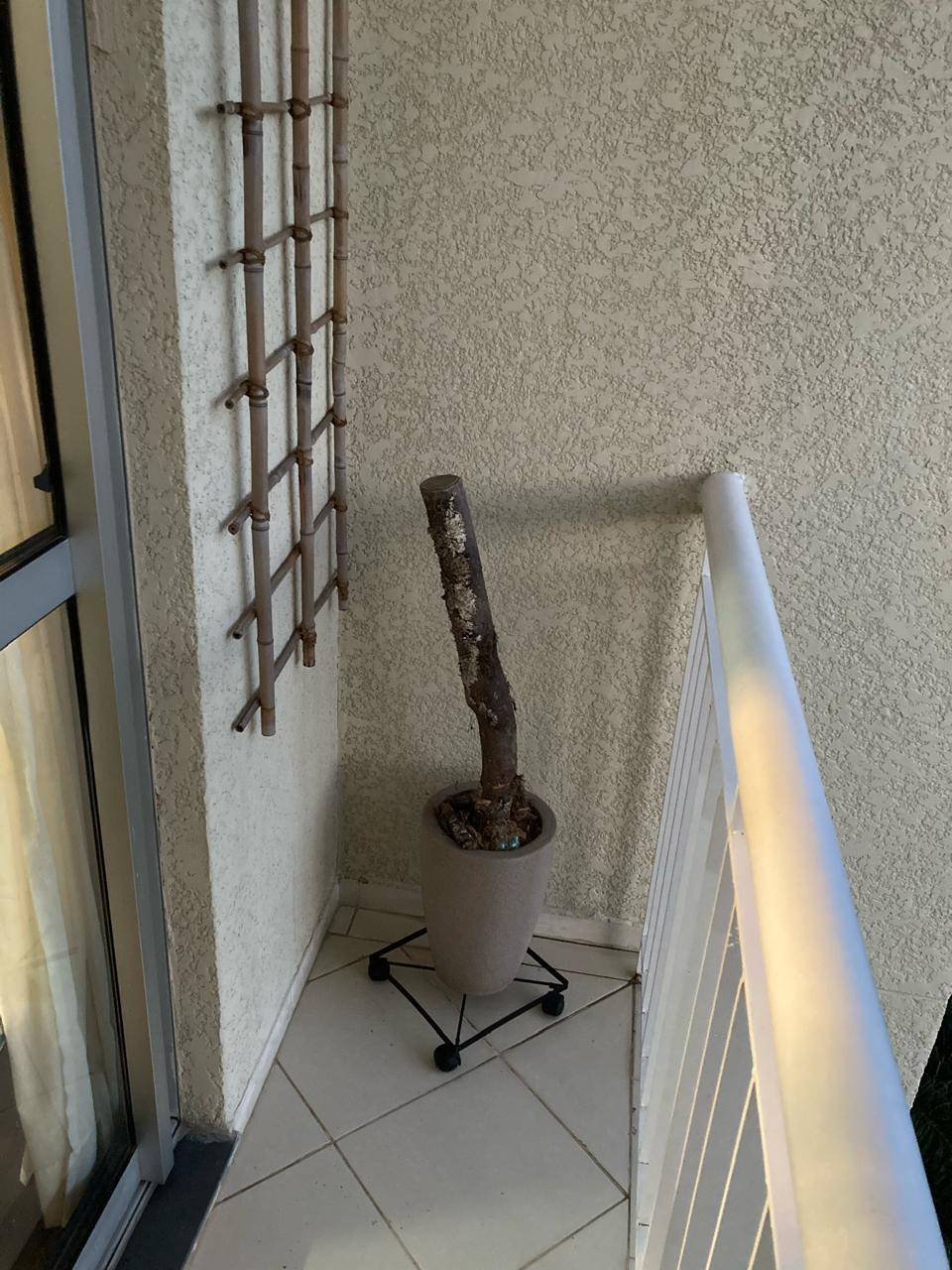 APARTAMENTO Á VENDA NO RESIDENCIAL VISTA FLAMBOYANT