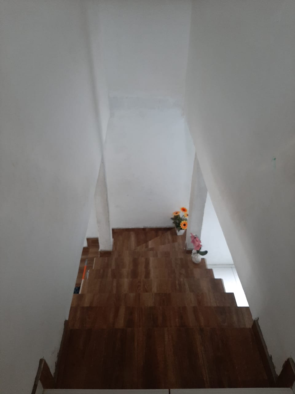 sobrado Araretama