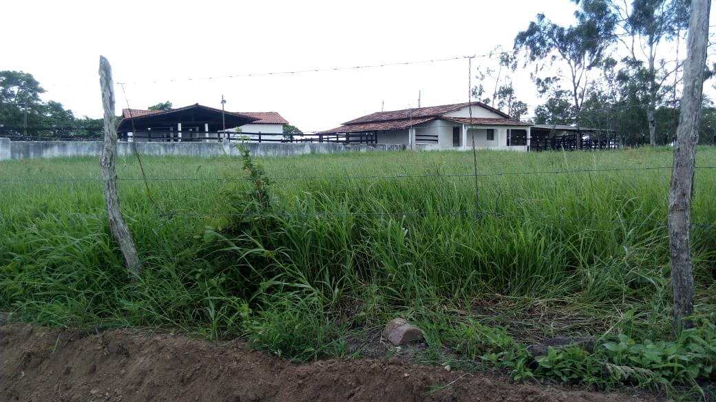 Fazenda - Venda, CENTRO, TIMBAÚBA, PE