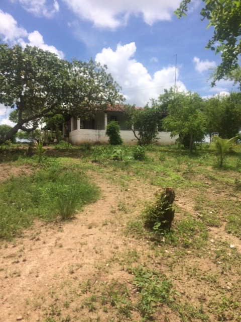 Chácara - Venda, Chã do Esconso, Aliança, PE