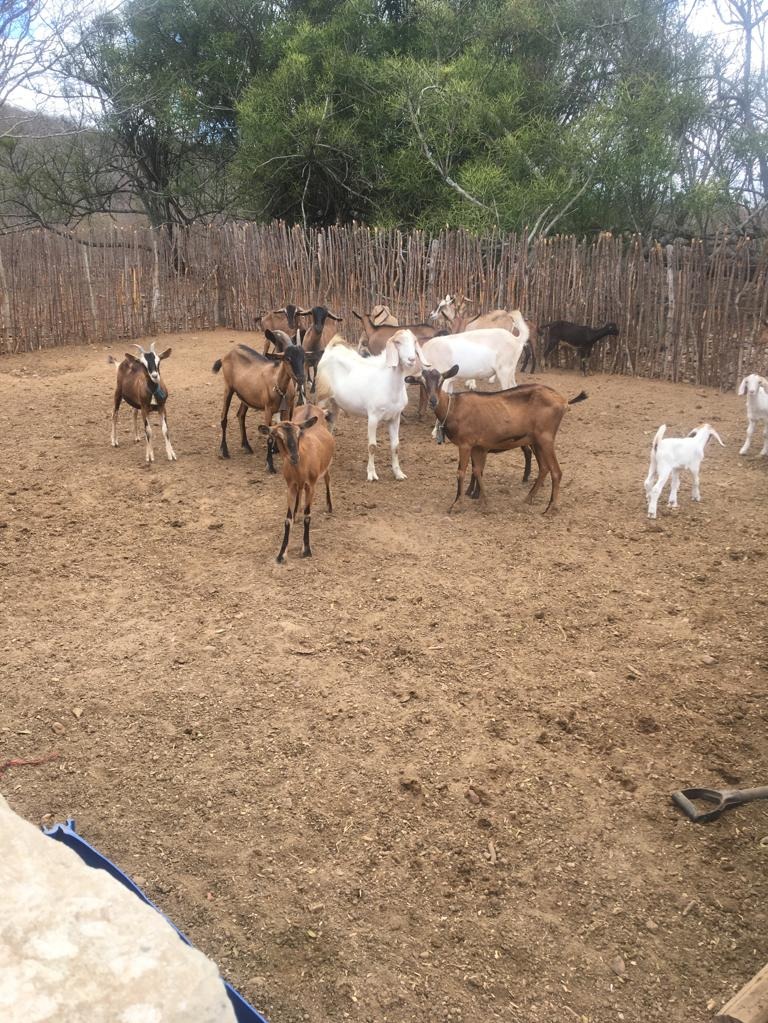 Fazenda - Venda, CENTRO, SÃO CAITANO, PE