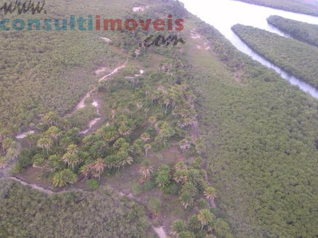 Lote - Venda