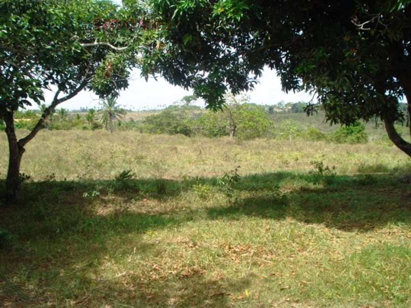 Fazenda - Venda, Centro, Cachoeira, BA