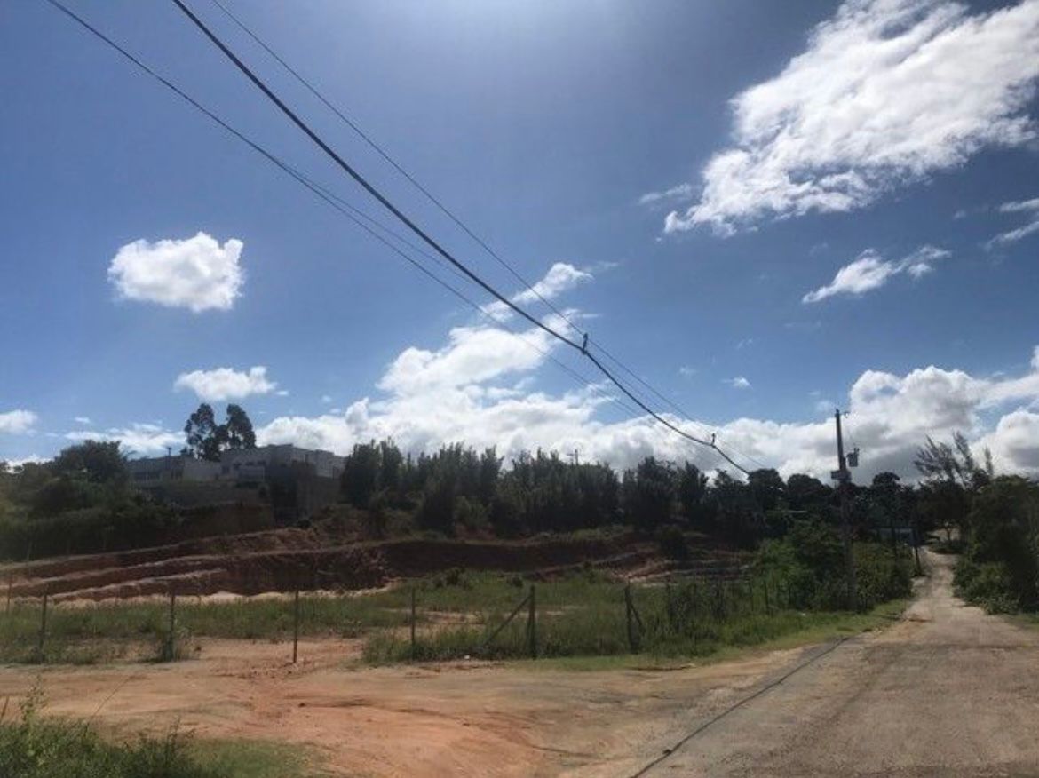 Area com 6.000 m2, plana, quadra fechada