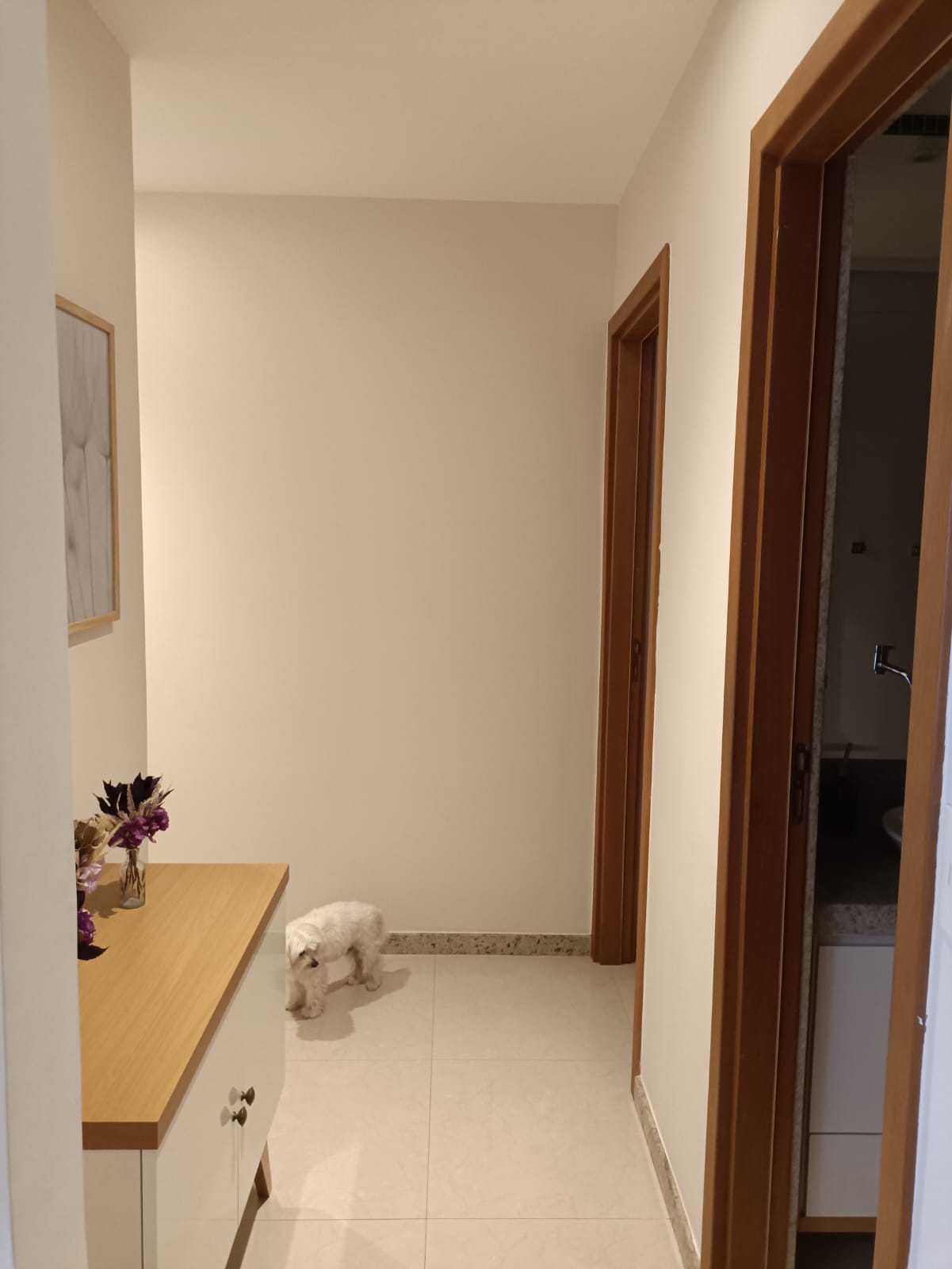 Apartamento de 04 Quartos com Suíte em Itapuã