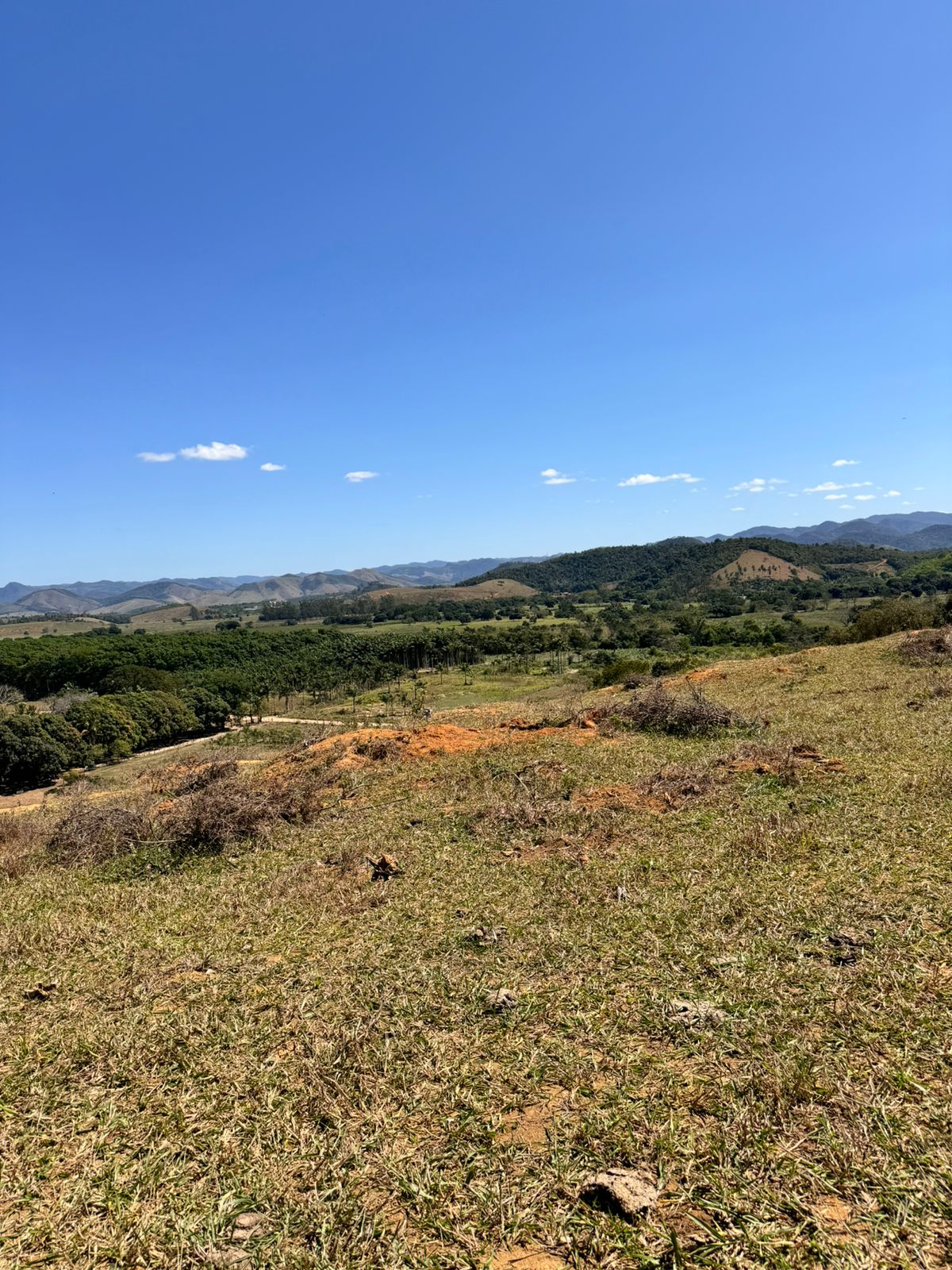 Fazenda em Xuri com 22 Alqueires