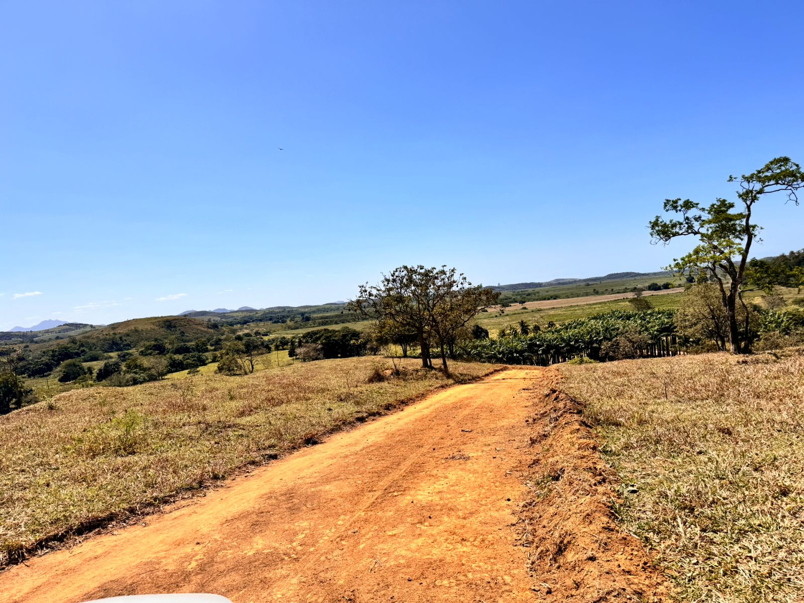 Fazenda em Xuri com 22 Alqueires