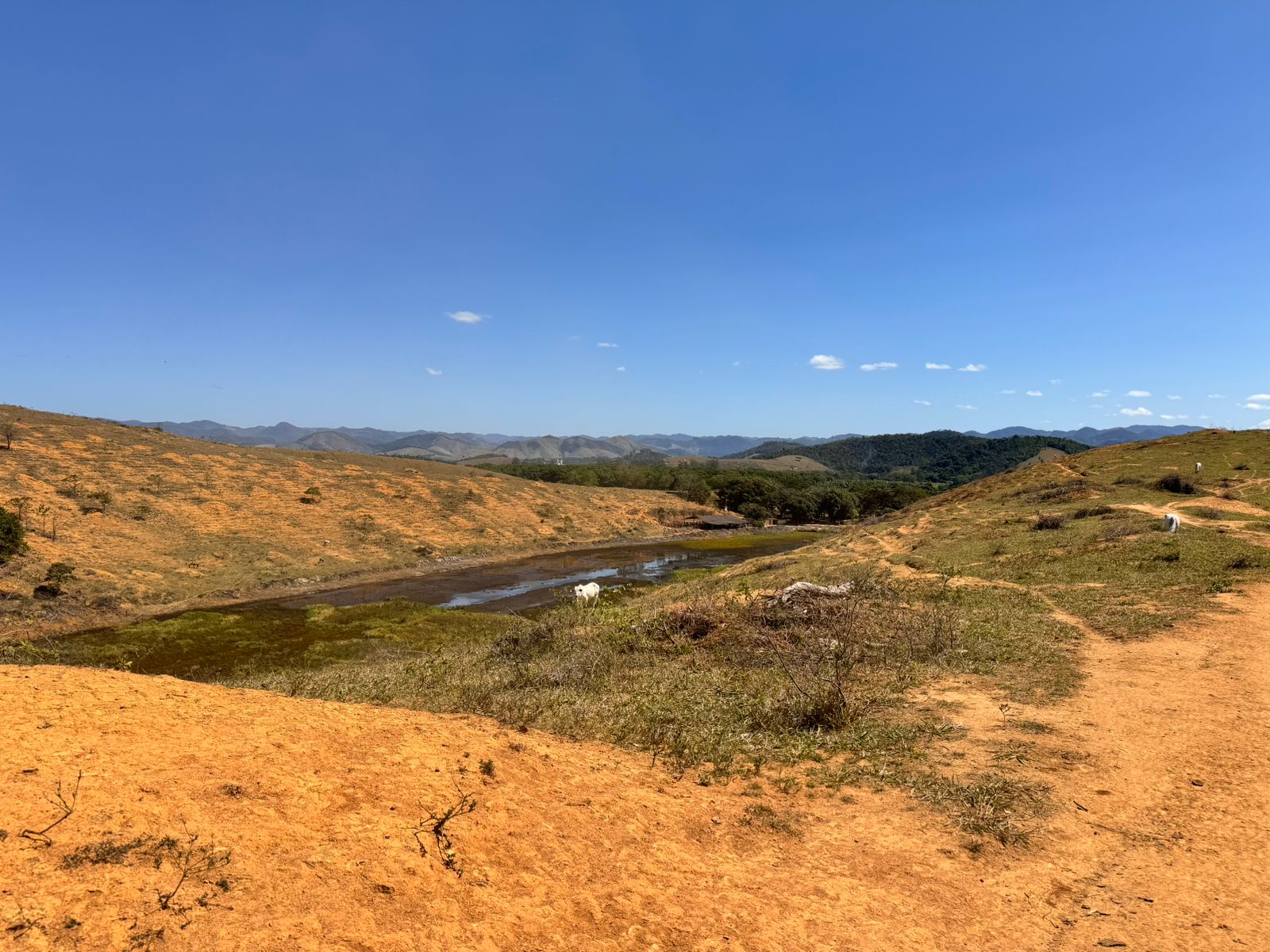 Fazenda em Xuri com 22 Alqueires