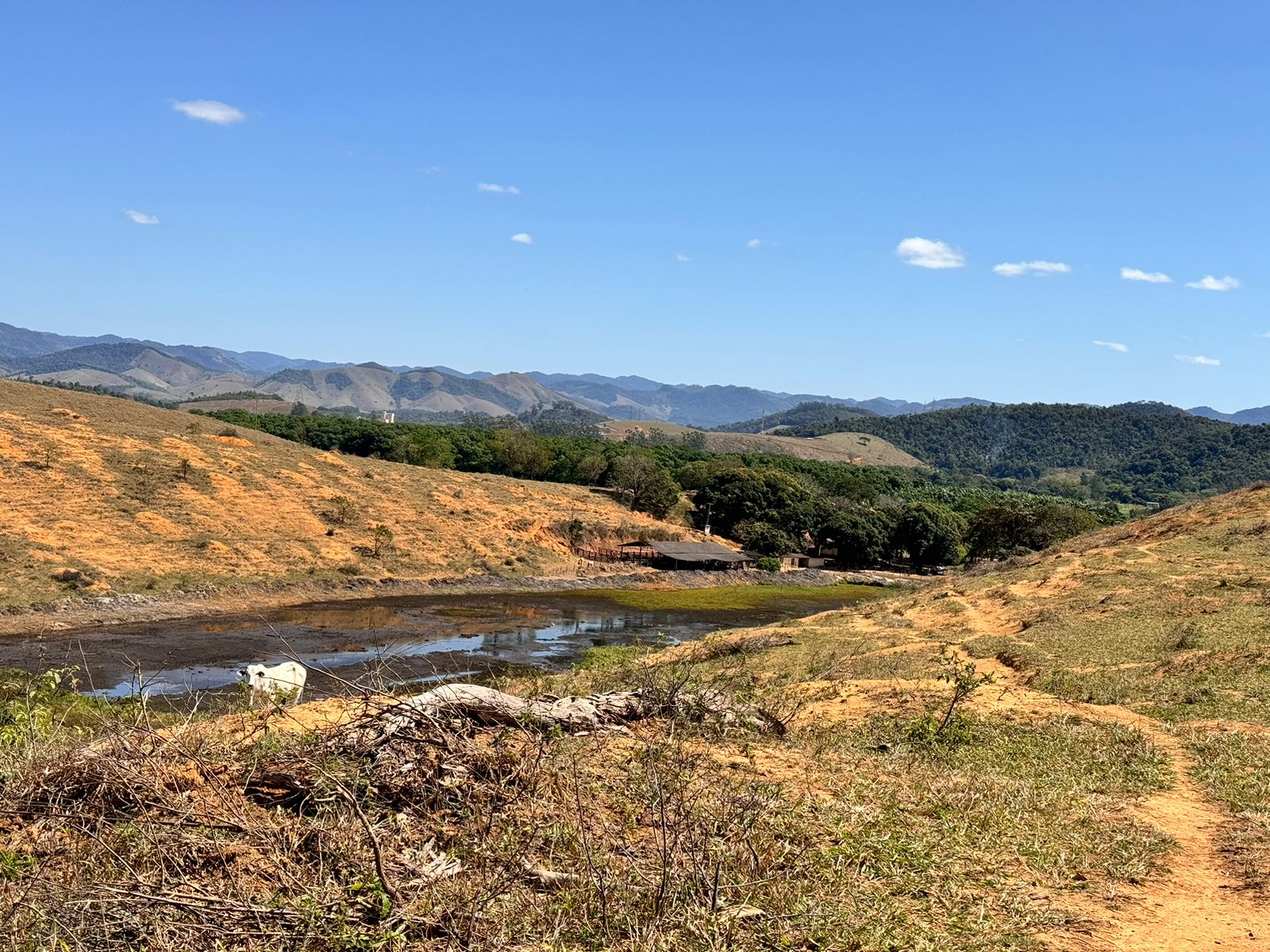 Fazenda em Xuri com 22 Alqueires