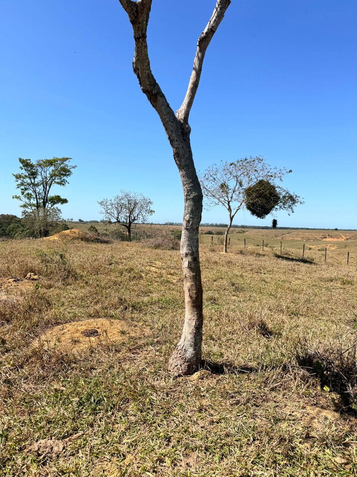 Fazenda em Xuri com 22 Alqueires
