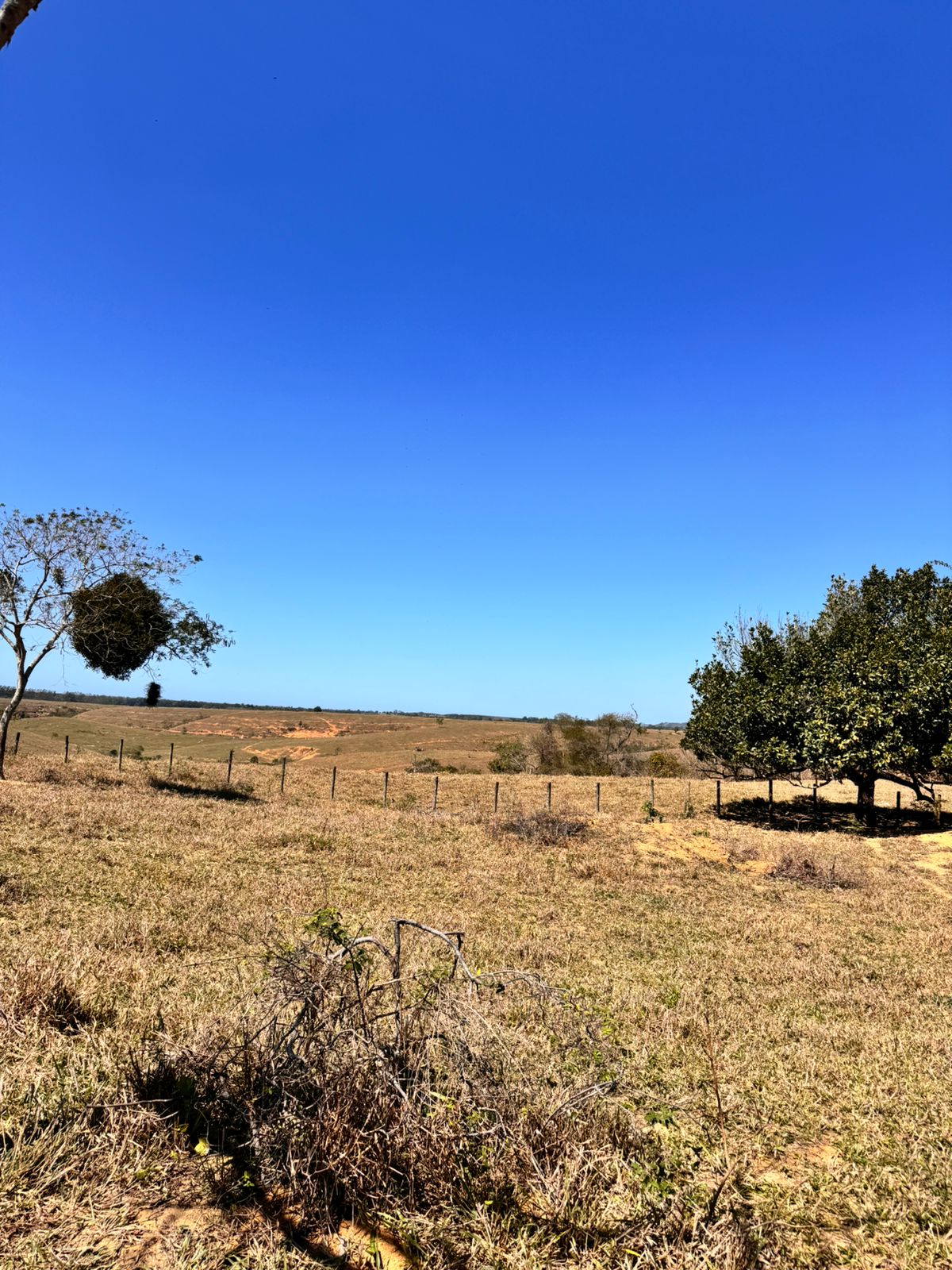Fazenda em Xuri com 22 Alqueires