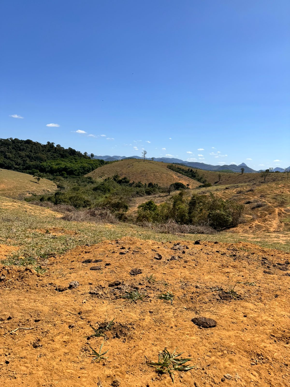 Fazenda em Xuri com 22 Alqueires
