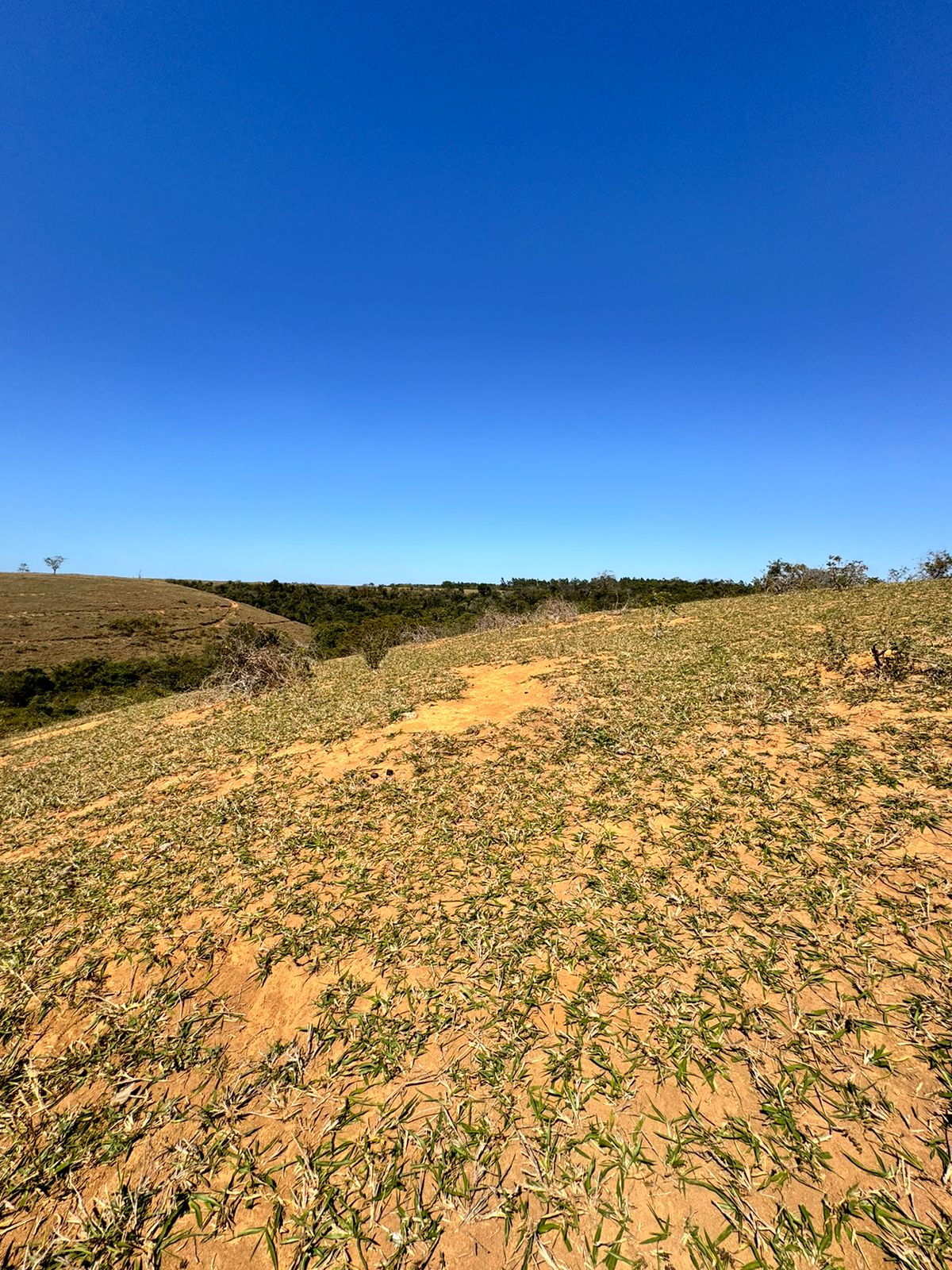 Fazenda em Xuri com 22 Alqueires