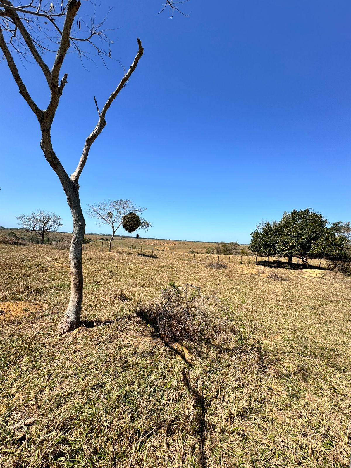 Fazenda em Xuri com 22 Alqueires