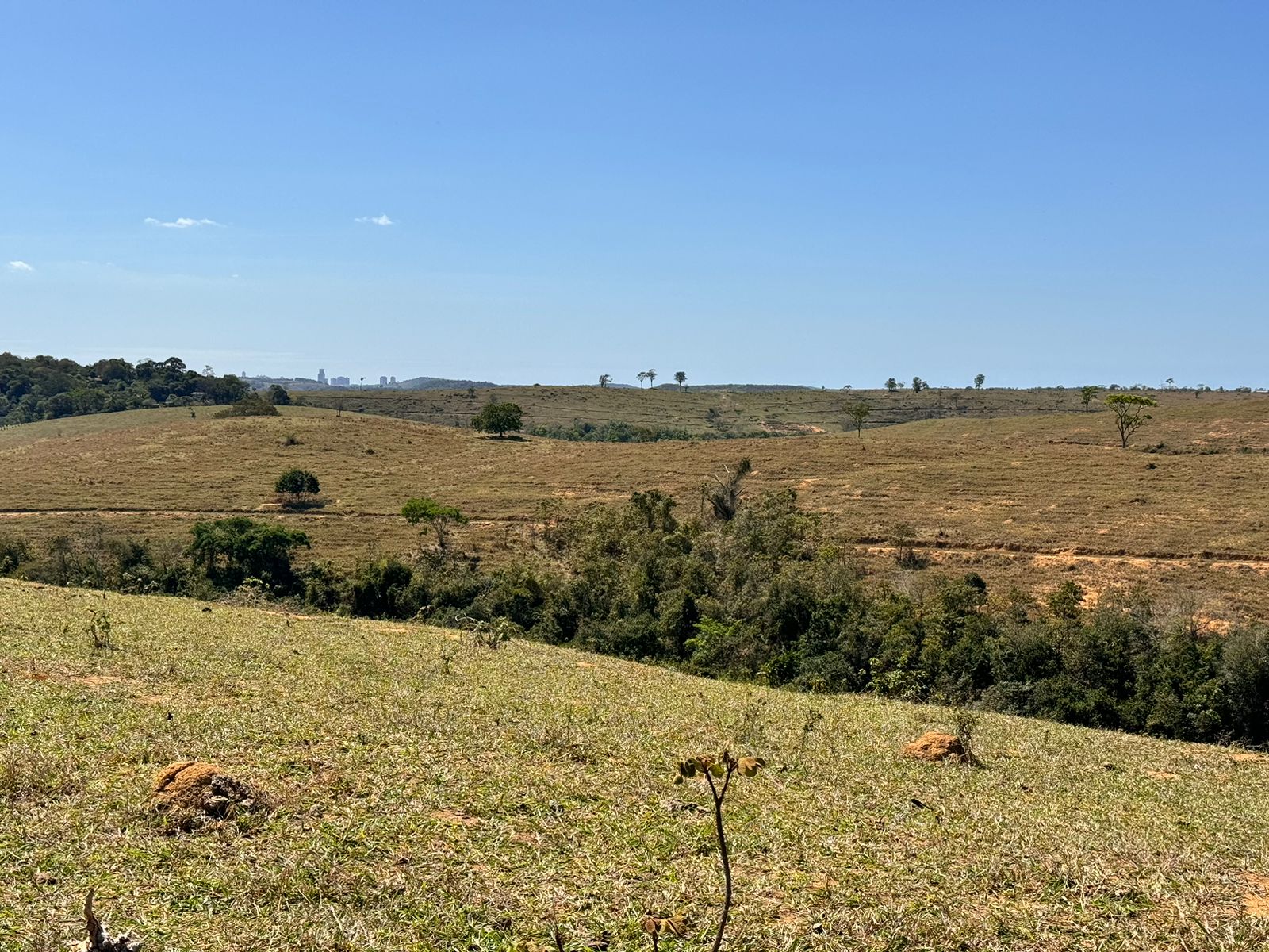 Fazenda em Xuri com 22 Alqueires