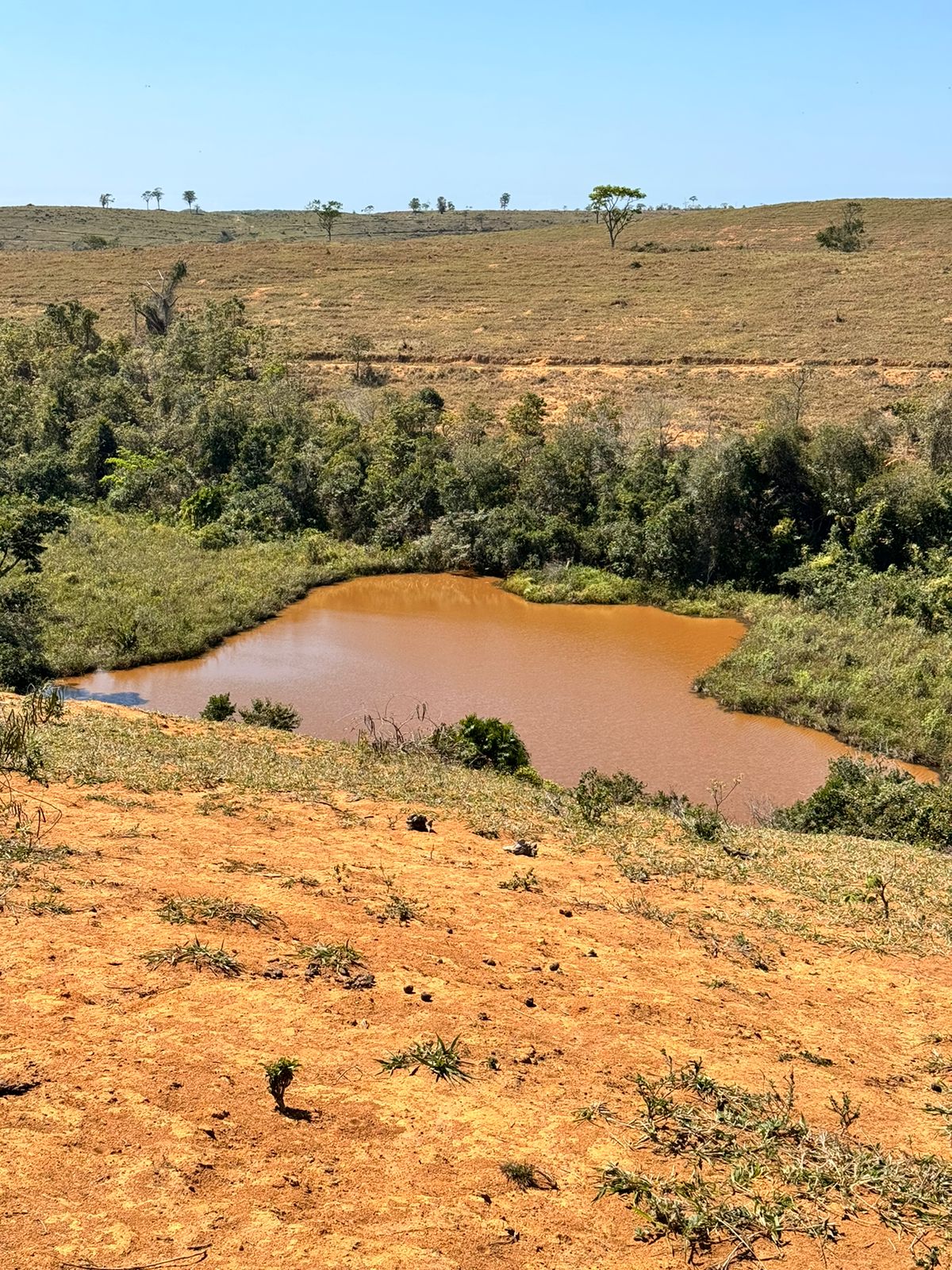 Fazenda em Xuri com 22 Alqueires
