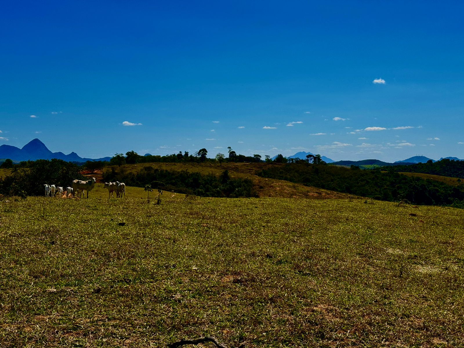 Fazenda em Xuri com 22 Alqueires